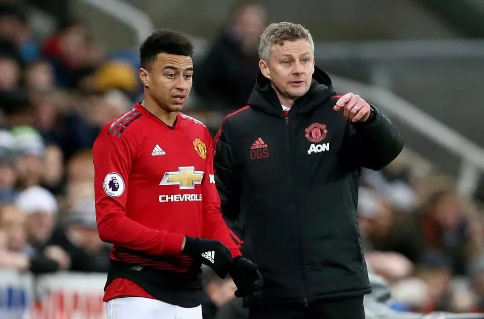 为中国游泳 为中国游泳